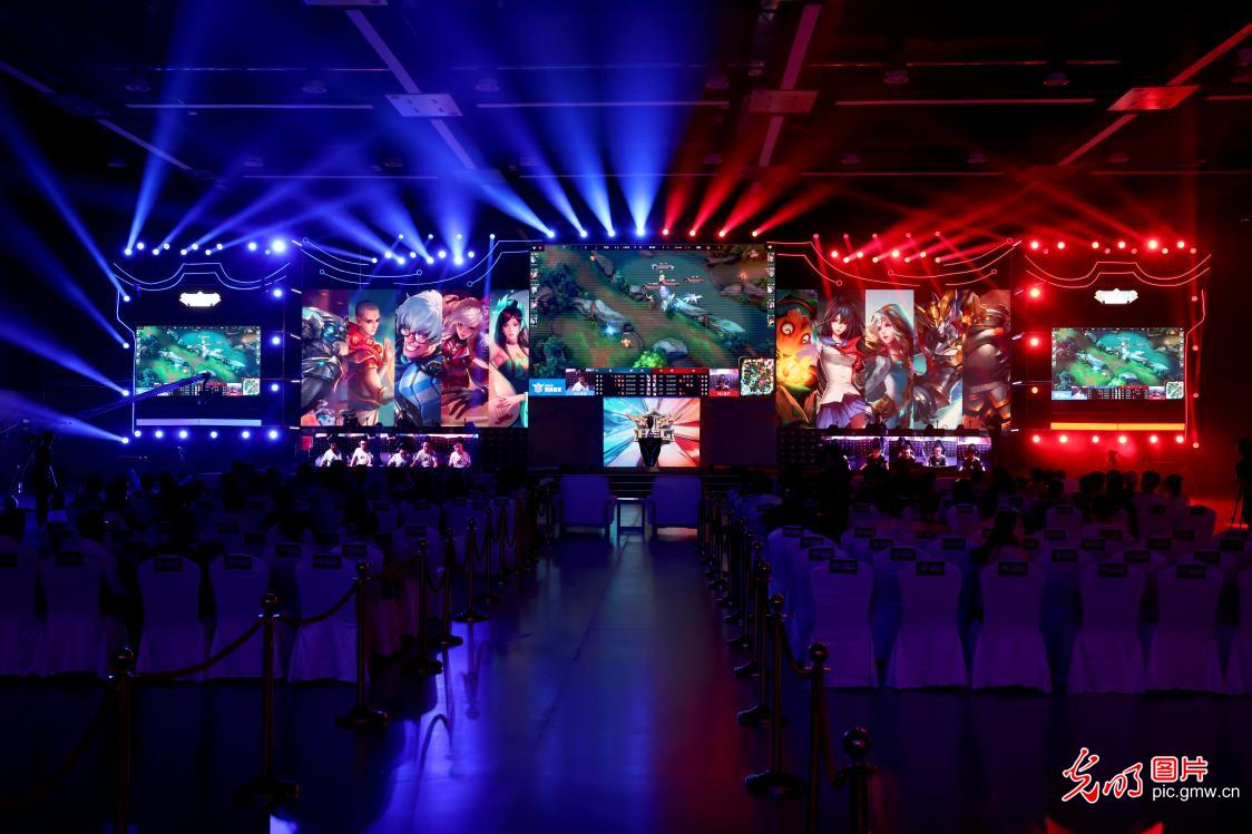 洲区预选赛 洲区预选赛